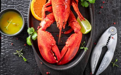 Hummer & Meer: Sommerlicher Genuss im Restaurant Rheinspitz