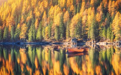 Goldener Herbst am Rheinspitz: Saisonendspurt, herbstliche Spezialitäten & alles Wichtige zu unseren Oktober-Öffnungszeiten